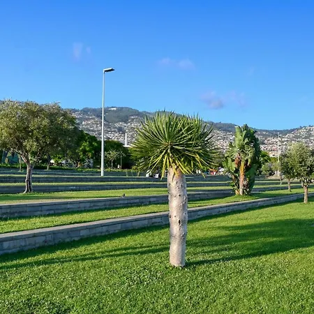 Beco Santa Emilia 4n, A In Madeira * Funchal (Madeira)